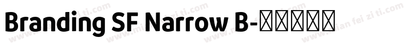 Branding SF Narrow B字体转换